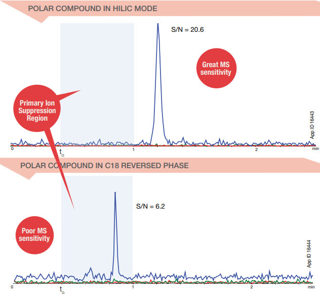 Luna HILIC vs Luna C18 Chromatogram